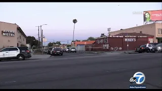 12-year-old girl, woman hospitalized after being shot near birthday party in South Los Angeles| ABC7