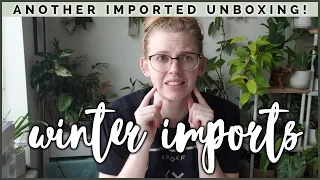 ANOTHER Rare Unboxing From Indonesia | Rare Imported Houseplant Winter Unboxing