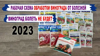 🍇 Эта СХЕМА ОБРАБОТКИ ВИНОГРАДА от болезней СПАСЕТ Ваш виноград. Фото основных болезней. 2023 год.