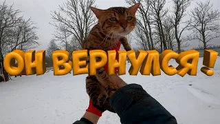 УРА ! СВЕТ В  ВЕРАНДЕ ! ЧИЩУ СНЕГ ! [Жизнь в деревне]