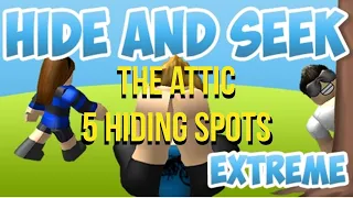 5 Hiding Spots in The Attic | Hide and Seek EXTREME |