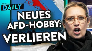 So lustig regt sich die AfD über Demokratie auf | WALULIS DAILY