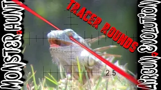 EPIC Slow Motion TRACER ROUNDS | Iguana Dinosaur Hunting | Airgun Evolution