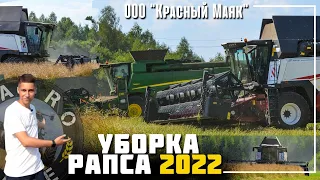 Уборка озимого рапса 2022! Комбайны John Deere T660i и РСМ 161! Чем же так интересен John Deere?!