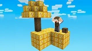 SKY BLOCK, MAS EU TENHO LUCKY BLOCKS!