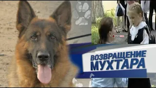 Возвращение Мухтара 4 сезон   24 серия