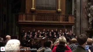 Davidson Collage Chorale at St. Peter's Basilica in the Vatican