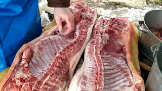 Мясо вьетнамских  свиней //Выход мяса   // Сало
