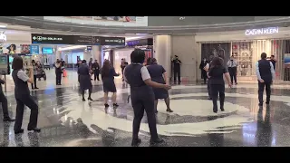 American Airlines MIA crew Jerusalema dance challenge