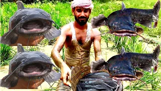 Fishing video!! The village boy... How To Catch Fish On Crop Field............W Are The Villagers