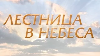 Лестница в небеса (20 серия)