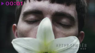 Артур Тринёв - Покажи мне | Official Audio | 2020