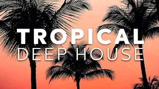 Avicii, Dimitri Vegas & Like Mike, Coldplay, Martin Garrix & Kygo Style - Tropical Summer Records
