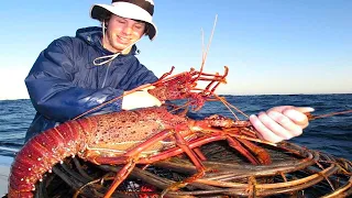 American Fishermen Trap Catch Many Lobsters Living in deep Sea