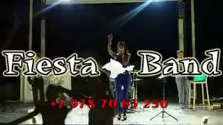 Fiesta - Band 2015