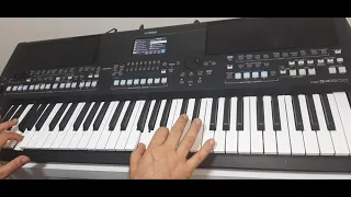 Who'll Stop The Rain - CCR (easy) played by Cremonese Cover demo Yamaha PSR-SX600