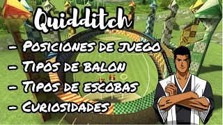 Todo sobre el Quidditch | Posiciones, mecanismo de juego, tipos de balones y mucho más