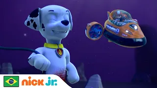 Patrulha Canina | Mer-Pup Ajuda a Patrulha Canina num Resgate | Nick Jr. em Português