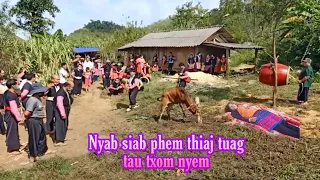 Nyab ua phem thiaj npam nyab kiag 17/8/2022