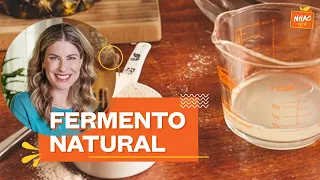 LEVAIN: como fazer fermento natural para  pão caseiro | Rita Lobo | Cozinha Prática
