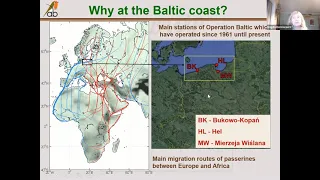 What birds have told us in 60 years of Operation Balti, part 1 - BDI CSHour #27 - Magda Remisiewicz