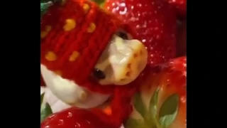 Adorable Snake In Strawberry Hat meme