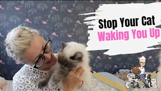 Episode 14: How To Stop Your Cat Waking You Up