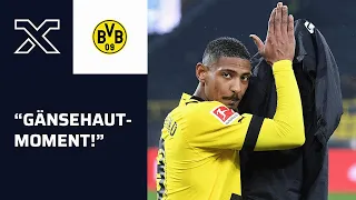 Terzic über Haller-Comeback: "Sehr froh, dass er endlich bei uns ist" | Dortmund - Augsburg 4:3