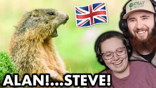 Americans React to Funny British Animal Voiceovers!! *HILARIOUS*