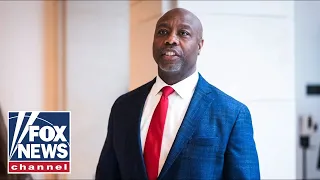 ‘DISGUSTING’: Tim Scott scorches ‘The Squad’ for pro-Palestine stance