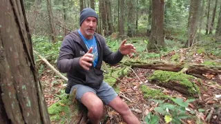 Bigfoot sighting on Vancouver Island