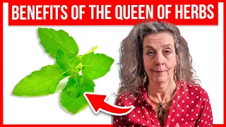 HOLY BASIL, the Top 5 HEALTH Benefits of the QUEEN of HERBS!