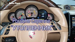 Жесть на СТО или будни автомехаников #146. "Утопленник" Porsche Cayenne 2016 г.в. VW ПЛОТНИКА.