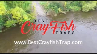 Best Crayfish Trap