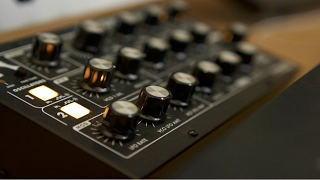 Minitaur Mayhem | Live performance and testing Moog Minitaur bass quality |