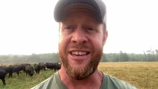 Grass fed beef! Are you getting what you think you’re getting? Probably not!