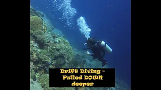 She didn't PANIC when she gets SUCKED deeper during DRIFT Dive in Nusa Penida! #shorts #scubadiving