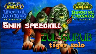 🐅HOW TO ZG TIGER BOSS SOLO WOTLK CLASSIC AFFLICTION WARLOCK🚀