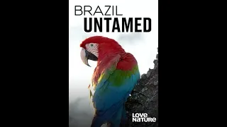 Дикая Бразилия / Brazil Untamed / Серия 6 Обезьяны Амазонии 4К