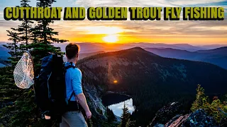 Searching for GOLDEN Trout and CUTTHROAT Trout in Idaho | Fly-Fishing and Hiking Adventure