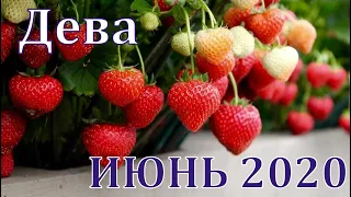 ДЕВА - РАБОТА, ФИНАНСЫ, ЛЮБОВЬ. Таро прогноз на июнь 2020 от Татьяны Байер