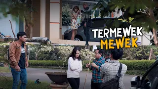 TERMEWEK-MEWEK