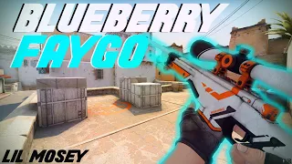 BLUEBERRY FAYGO | A CS:GO MONTAGE