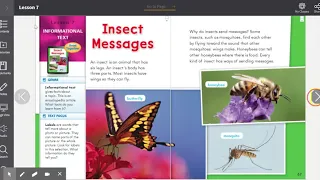 Insect Messages