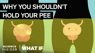 What Happens If You Hold Your Pee In For Too Long