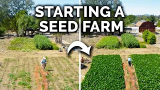 Starting a Farm to Grow and Sell Seeds!