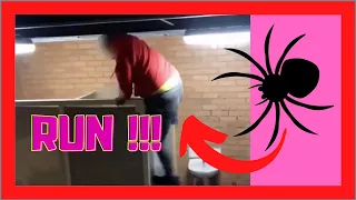 SPIDER PRANK #1 COMPILATION | Try Not To Laugh