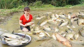 Harvest A Lot Of Fish With My Younger Sister, Go To Sell at the Village | My Bushcraft