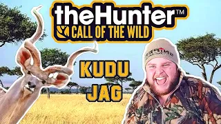 theHunter Call of the Wild : Hunting a Kudu in Africa (Afrikaans)
