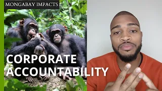 How a Mongabay investigation led to corporate accountability | Mongabay Impacts